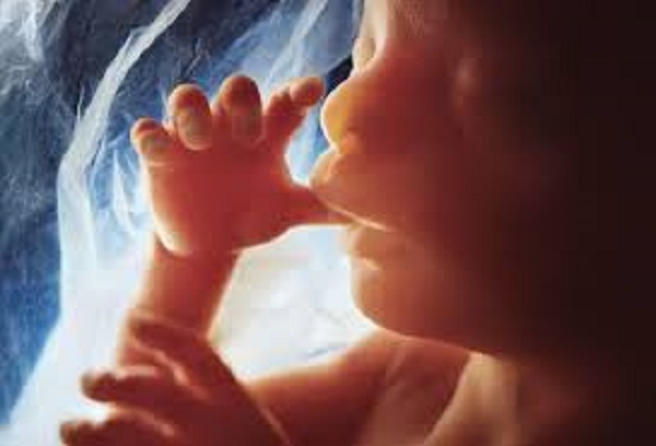 Ultrasounds Change Hearts and Minds Because They Confirm Unborn Babies are Human Beings
