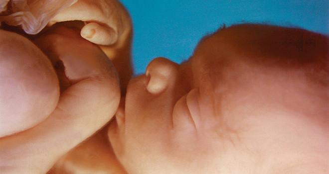 South Carolina Abortions Drop 80% as Heartbeat Law Saves Thousands of Babies