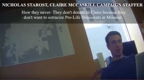 Image result for claire mccaskill project veritas