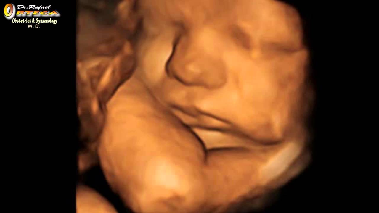 New Pro-Life Laws are Teaching Students About Fetal Development