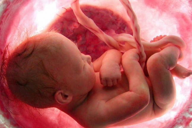 EU Considers a Right to Kill Babies in Abortions in Its Charter of Fundamental Rights